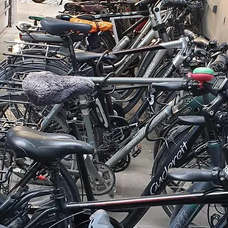 威登霍夫酒店 酒店