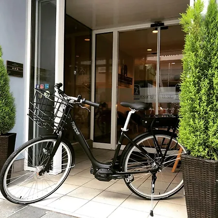 威登霍夫酒店 3* 雷根斯堡