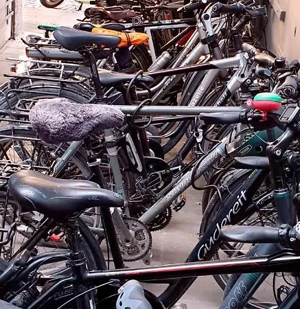 威登霍夫酒店 酒店