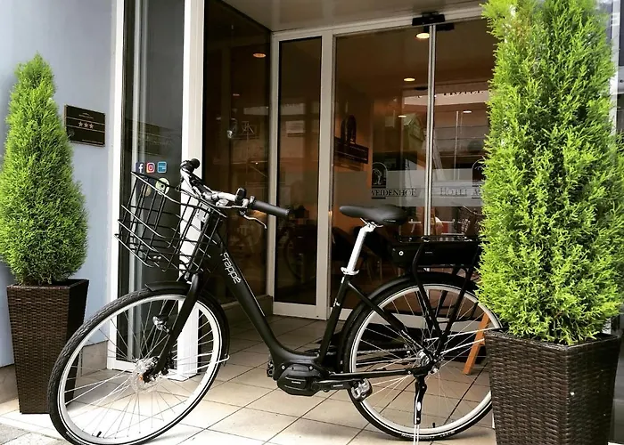 Отель Weidenhof