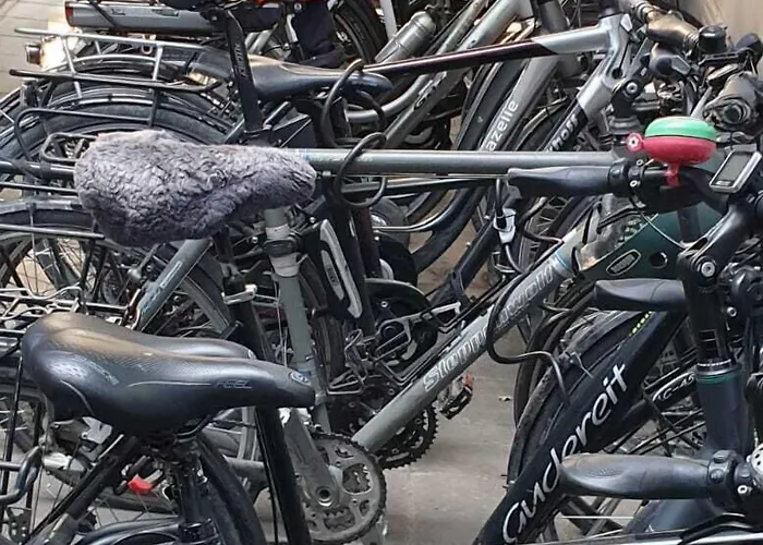 Weidenhof Отель