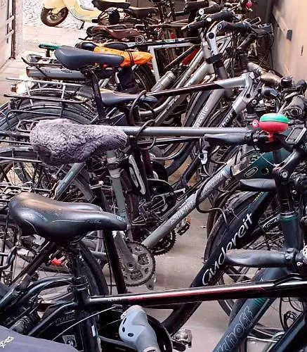 Weidenhof Отель